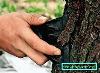 104-Hogyan kezeljük a fákat az országban