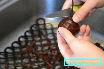 301-Hogyan sütjük a céklát a sütőben