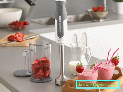Mechanikus turmixgép vagy elektronikus: a választás jellemzői Mechanikus turmixgép vagy elektronikus: a választás jellemzői