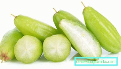 274 Uborkafa (Bilimbi)