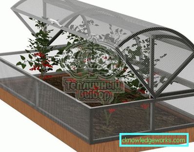 Üvegházi „kenyérdoboz”: mi az, az előnyök és hátrányok Üvegházi „kenyérdoboz”: mi az, az előnyök és hátrányok