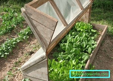 305-Greenhouse DIY