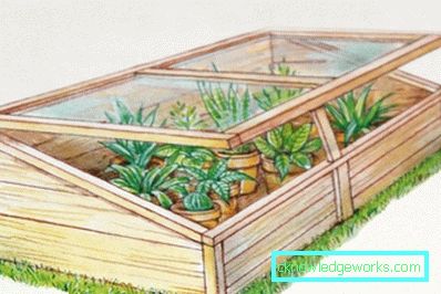 305-Greenhouse DIY
