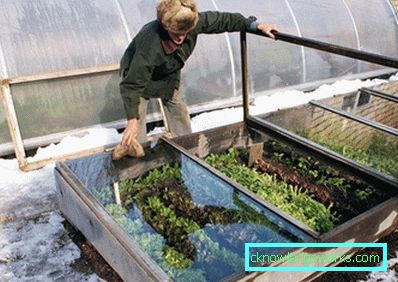 305-Greenhouse DIY