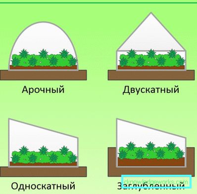 Hogyan készítsünk üvegházhatást a növények számára? Hogyan készítsünk üvegházhatást a növények számára?