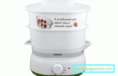 Philips Steamer Philips Steamer