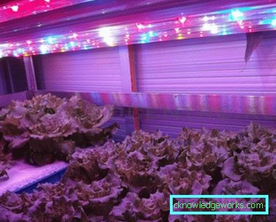 90 LED-es növényvilágítás