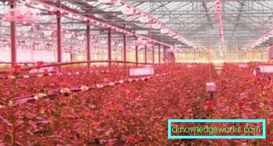 90 LED-es növényvilágítás