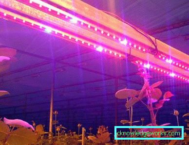 90 LED-es növényvilágítás