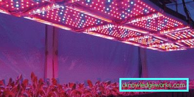 90 LED-es növényvilágítás