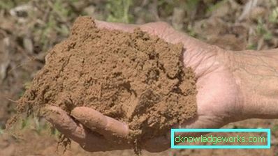 Hogyan készítsünk egy üvegházat a profilcsőből? Hogyan készítsünk egy üvegházat a profilcsőből?