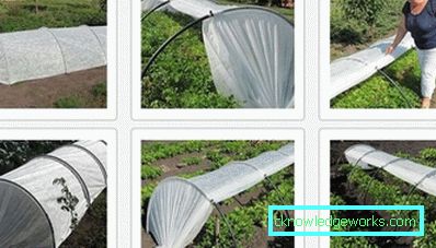 Hogyan válasszuk ki az üvegházak fedőanyagát? Hogyan válasszuk ki az üvegházak fedőanyagát?