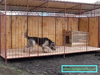 250-Corral a saját kezű kutyák számára